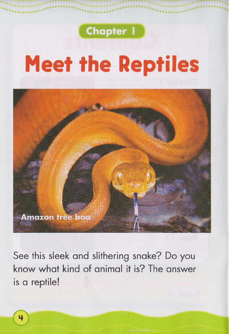 Really Cool Reptiles绘本故事第3页