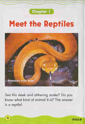 Really Cool Reptiles绘本故事第3页
