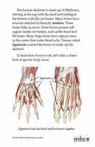 The Hard Stuff! All About Bones绘本故事第4页