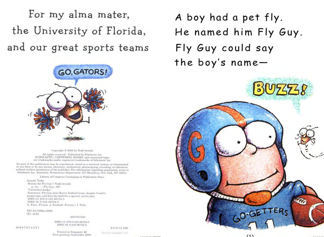 Hooray for Fly Guy绘本故事第3页