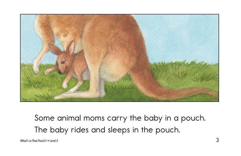 What's In That Pouch绘本故事第3页