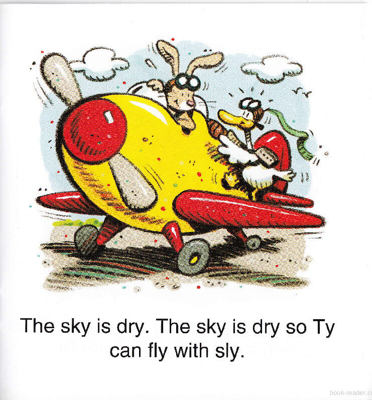 TY In the Sky绘本故事第4页