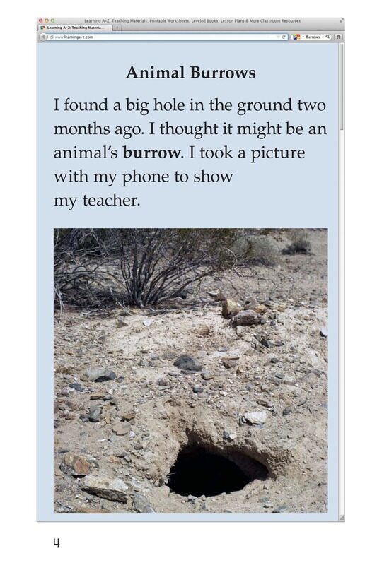 What Lives in This Hole绘本故事第3页