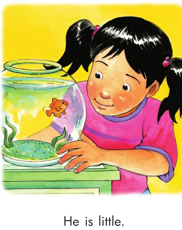 A House for Pip绘本故事第4页