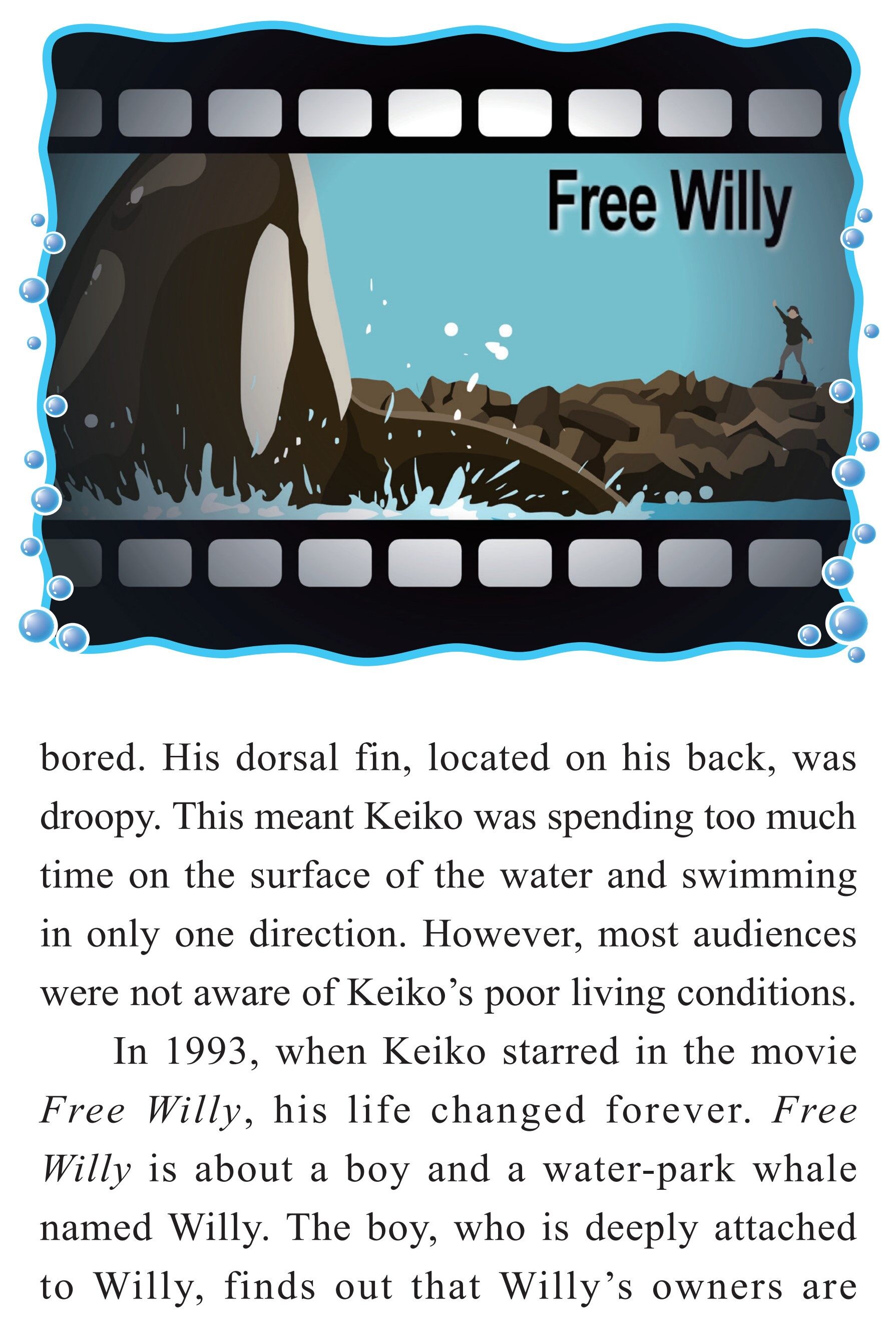 Keiko:A Killer Whale's Journey to Freedom绘本故事第5页