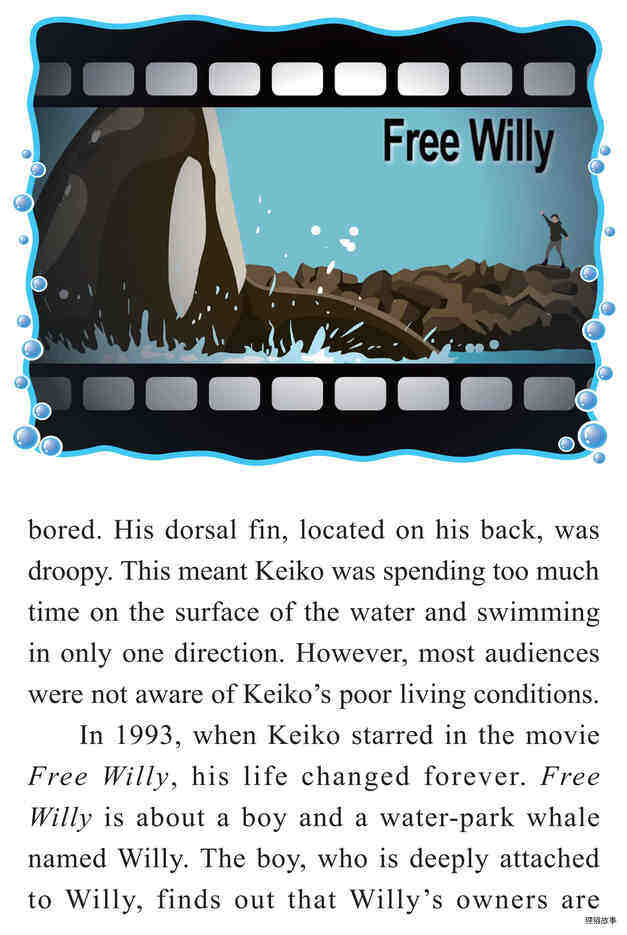 Keiko:A Killer Whale's Journey to Freedom绘本故事第5页