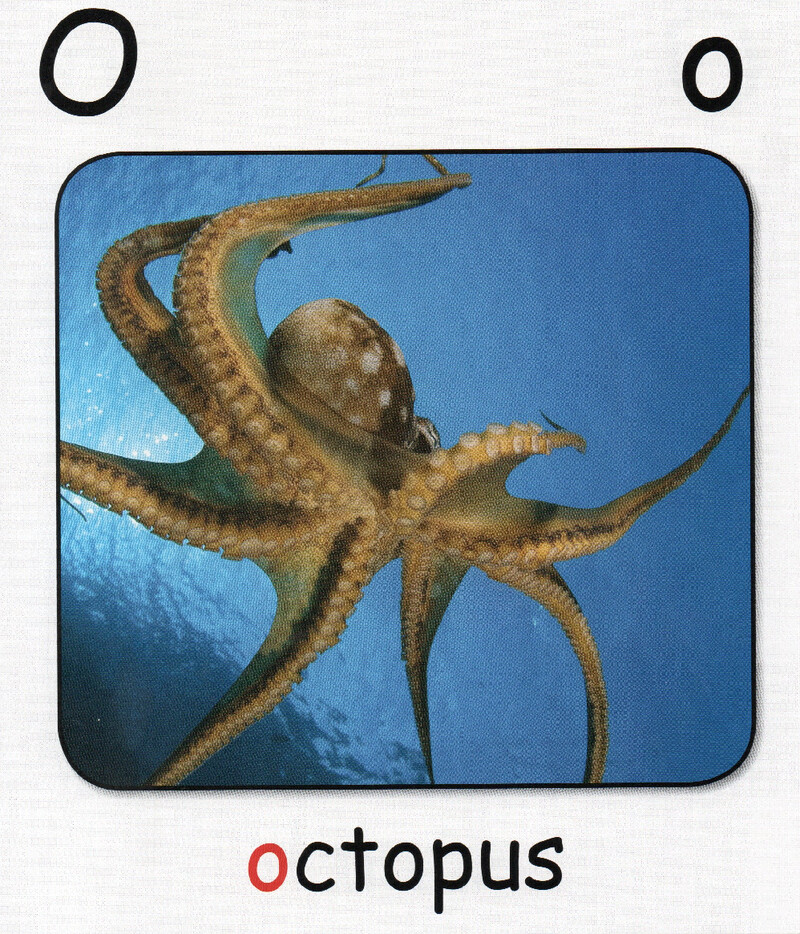 O绘本故事第5页