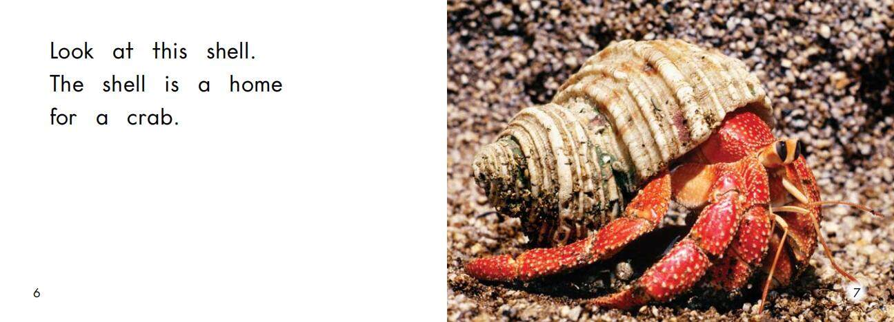 Homes绘本故事第5页