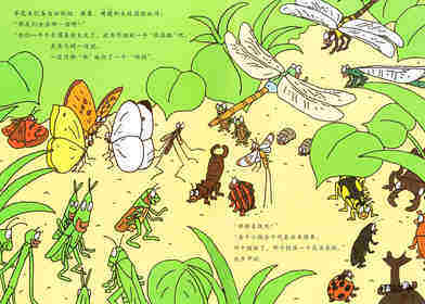 昆虫智趣园5-昆虫捉迷藏绘本故事第3页
