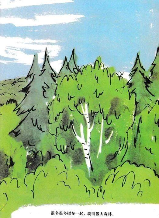 树真好绘本故事第4页