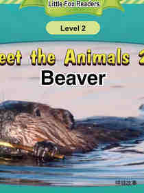 Beaver