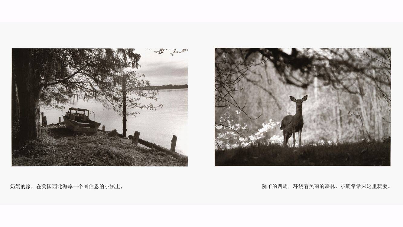 再见了，艾玛奶奶绘本故事第5页