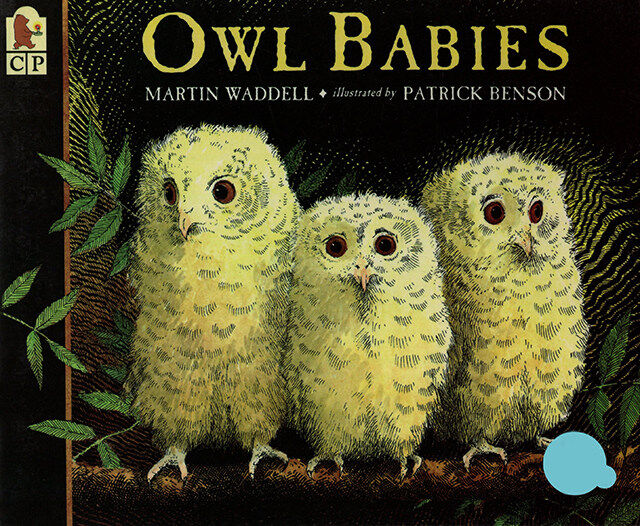 (43周)Owl Babies 绘本故事第2页