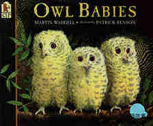 (43周)Owl Babies 绘本故事第2页