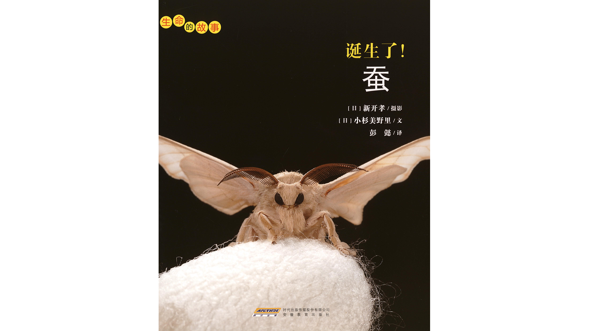 诞生了！蚕绘本故事第2页