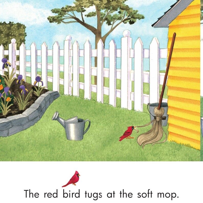 Look at the Red Bird绘本故事第5页