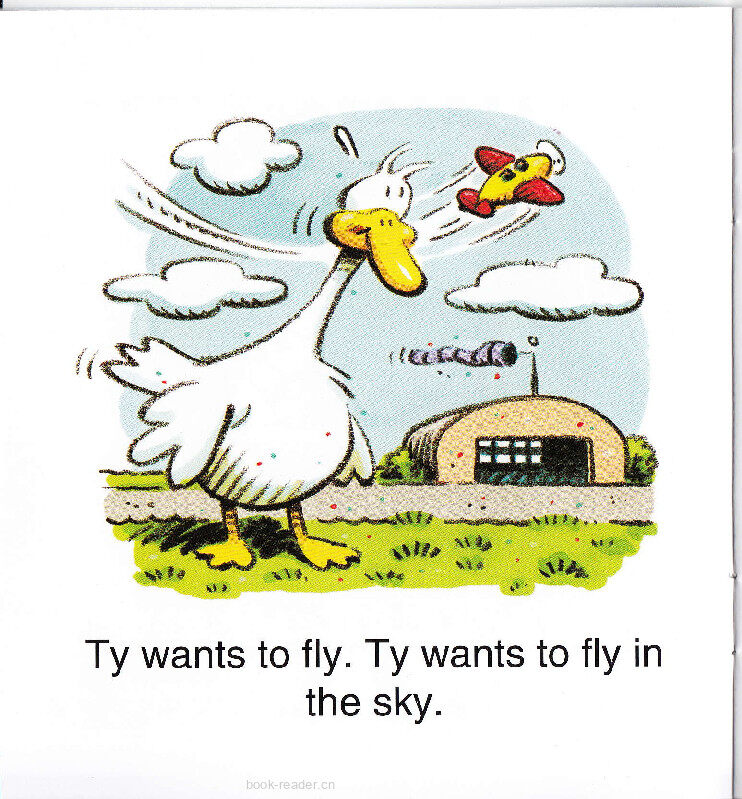 TY In the Sky绘本故事第3页