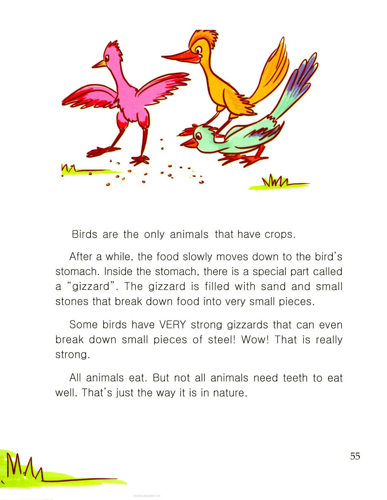 How Do Birds Eat?绘本故事第3页