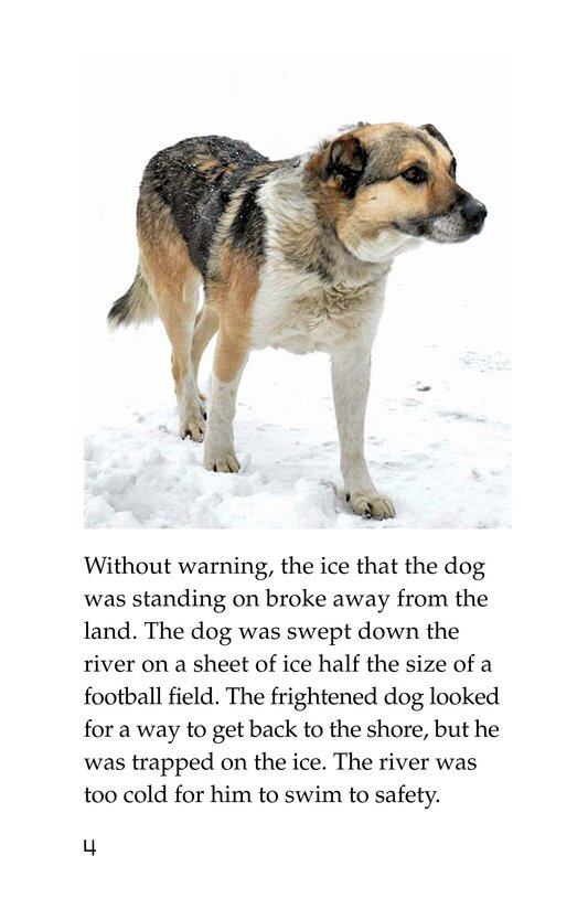 Baltic Rescue绘本故事第4页