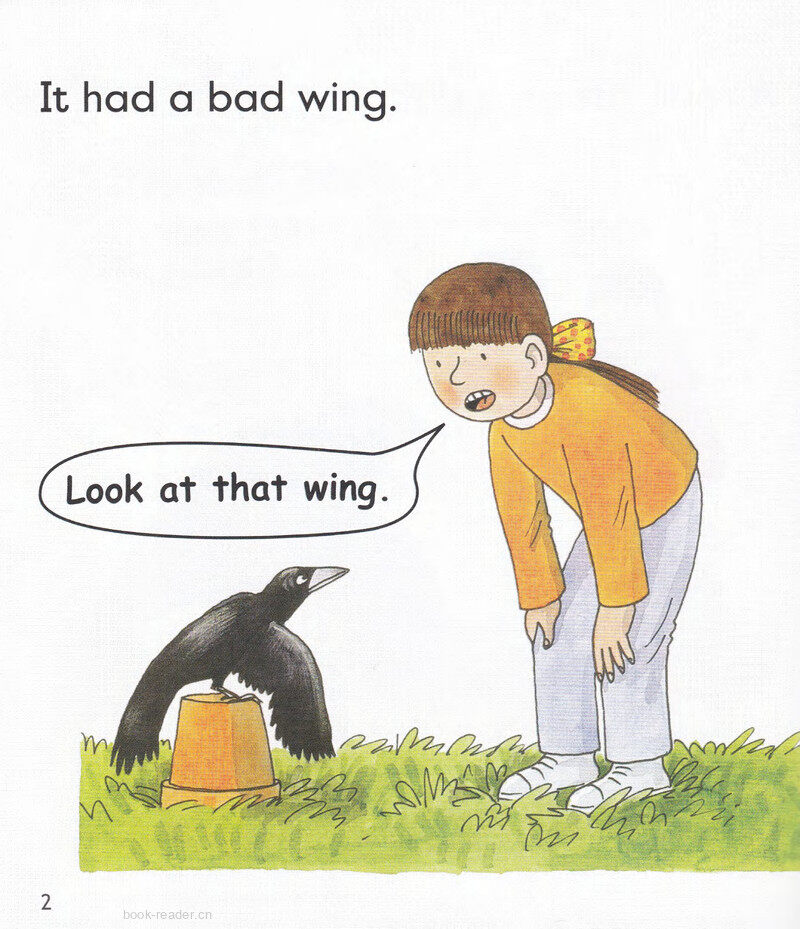 L3 The Rook and the Ring绘本故事第4页