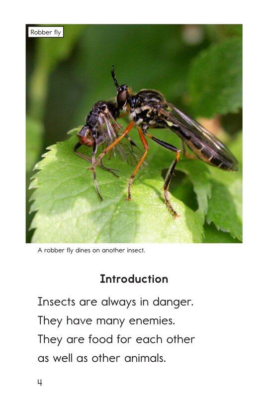 Extreme Insects绘本故事第3页
