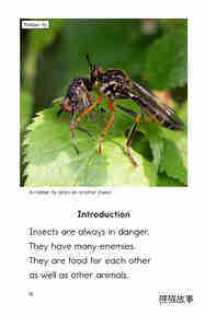 Extreme Insects绘本故事第3页