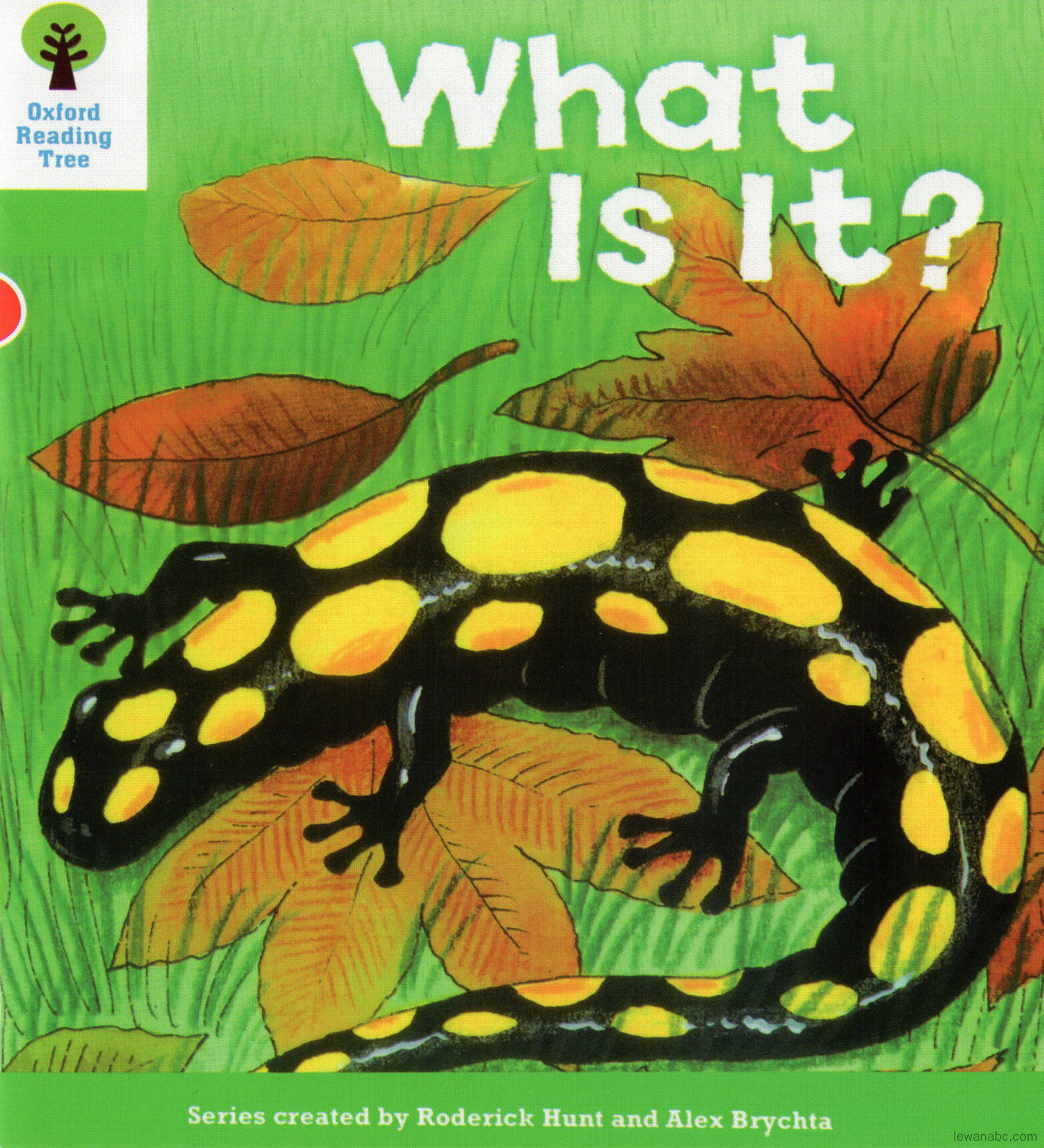 What is it?绘本故事第2页