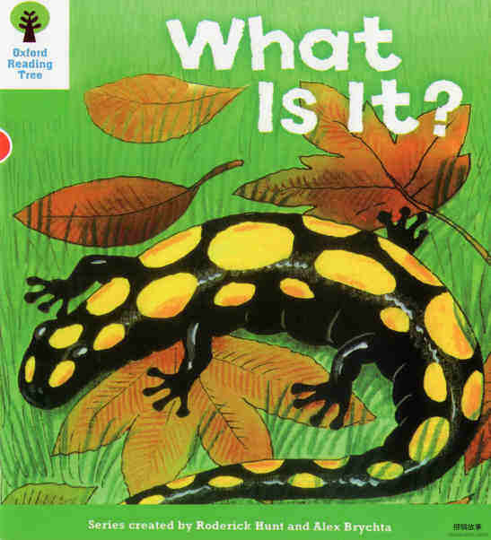 What is it?绘本故事第2页