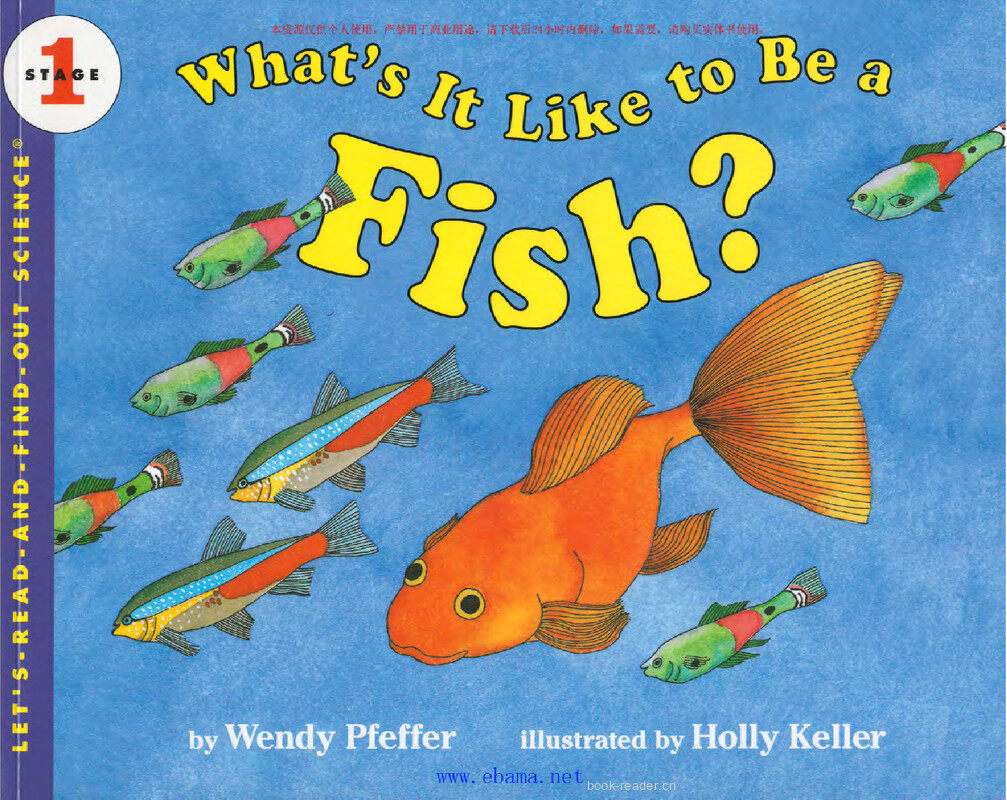 What is It Like to Be a Fish绘本故事第2页