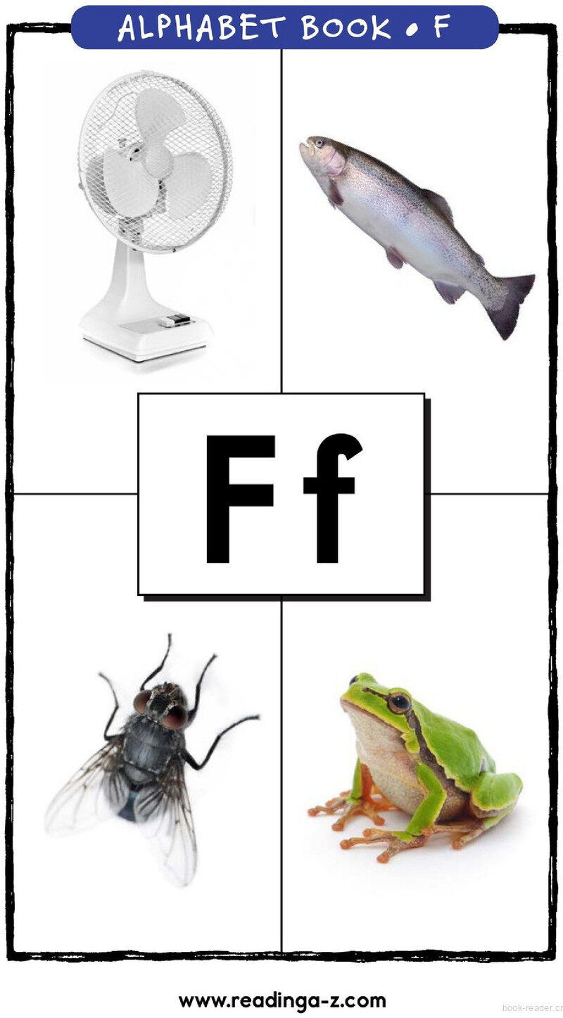 Letter F绘本故事第2页