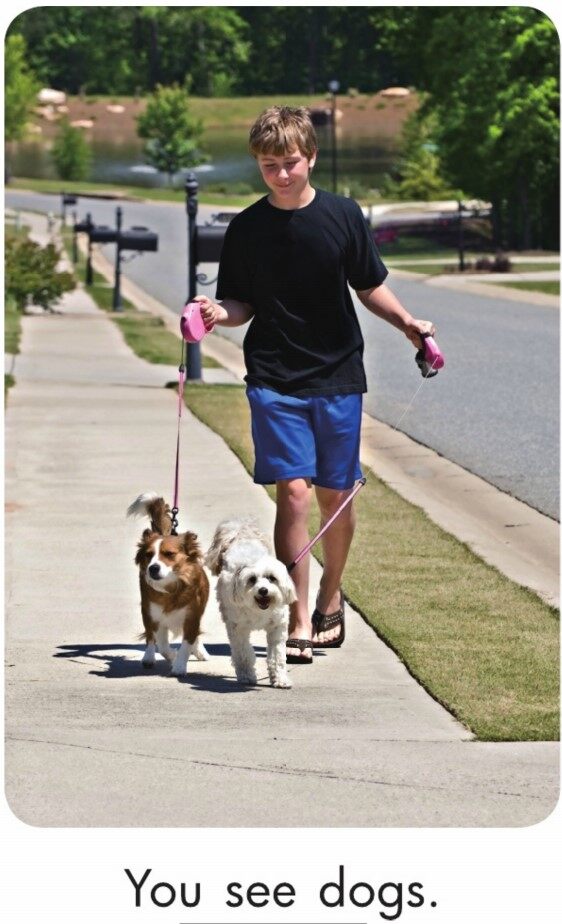 In the City绘本故事第3页