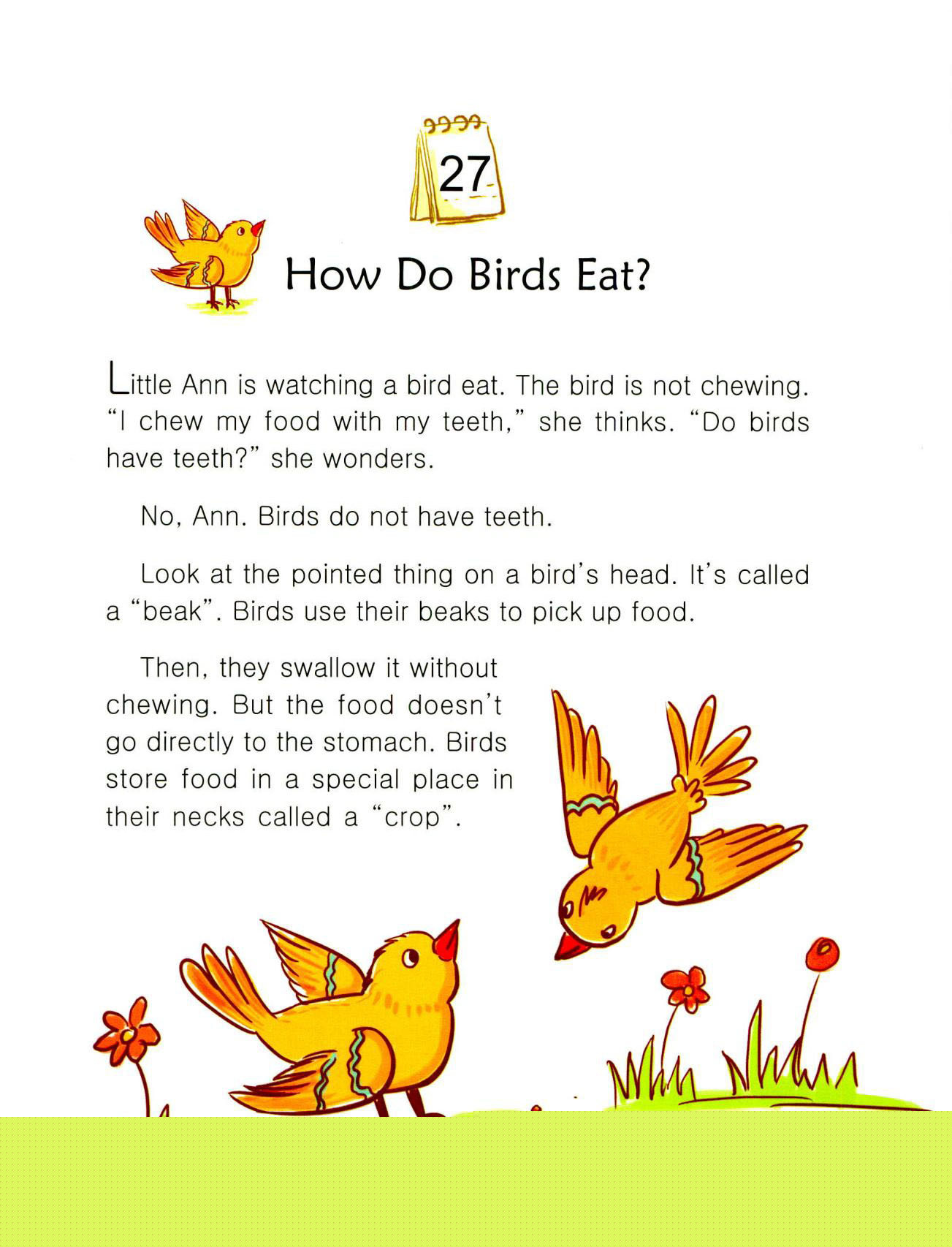 How Do Birds Eat?绘本故事第2页