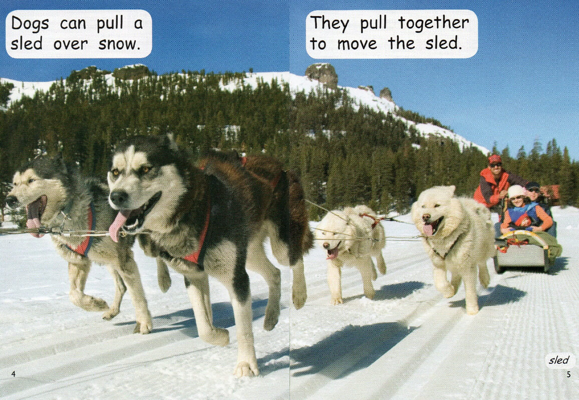 push or pull绘本故事第4页