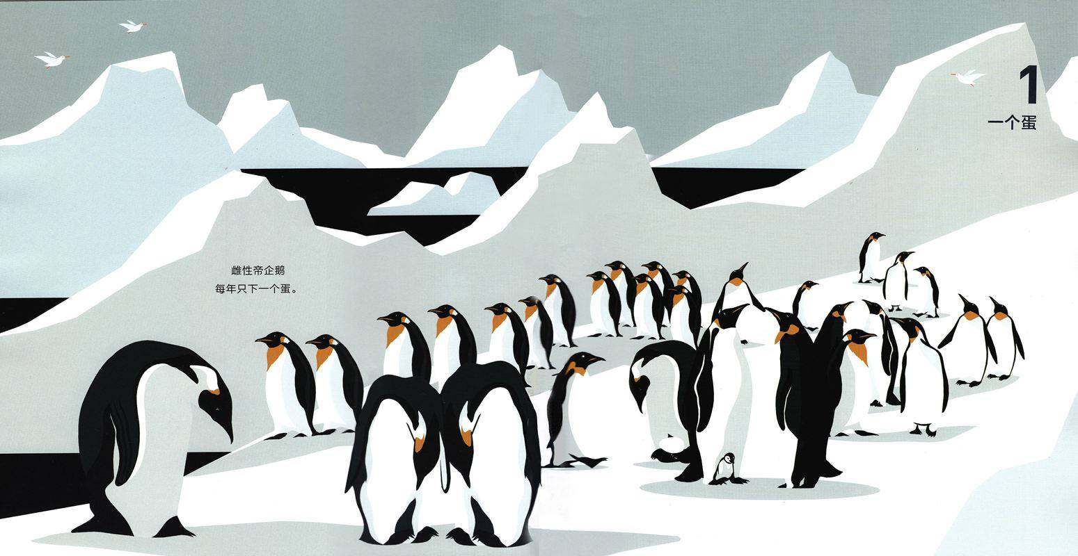 1，2，3，数星星绘本故事第3页