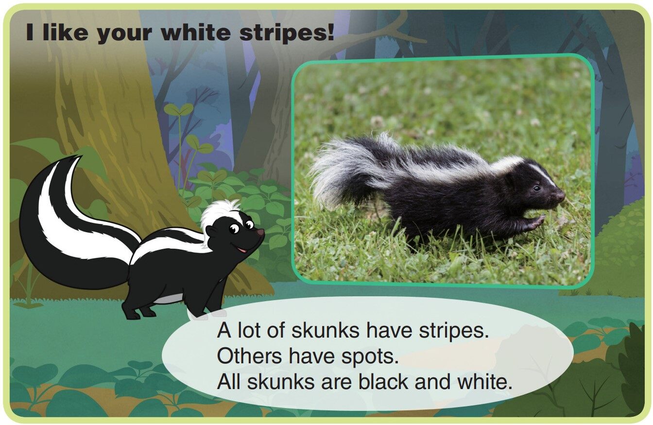 Skunk绘本故事第5页