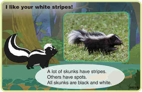 Skunk绘本故事第5页