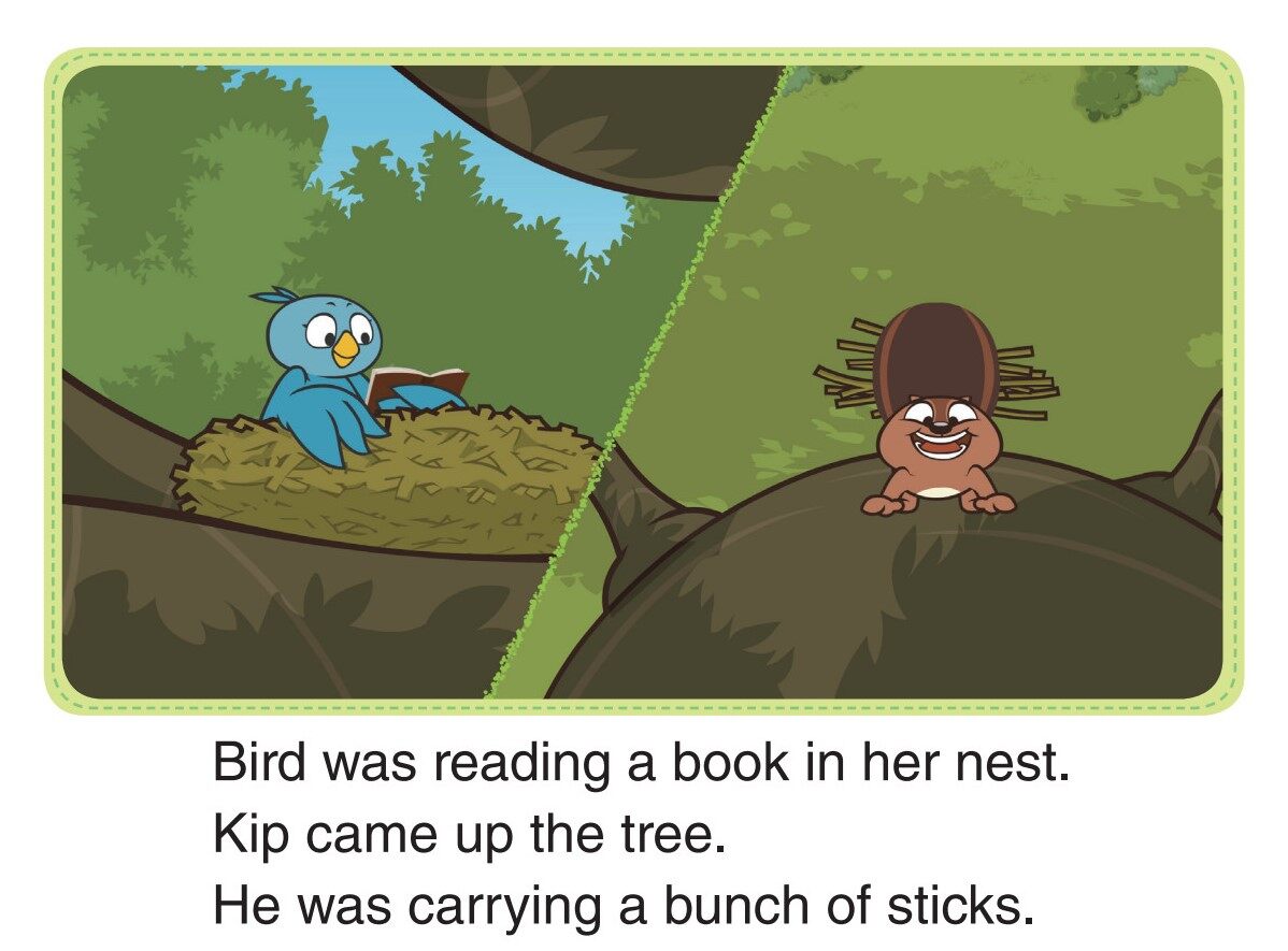 A Bunch of Sticks绘本故事第2页