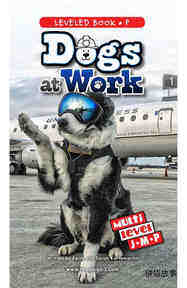 Dogs at Work