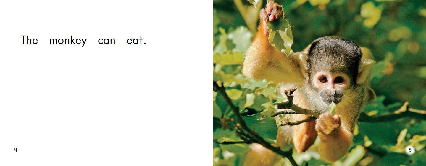 Monkey绘本故事第4页