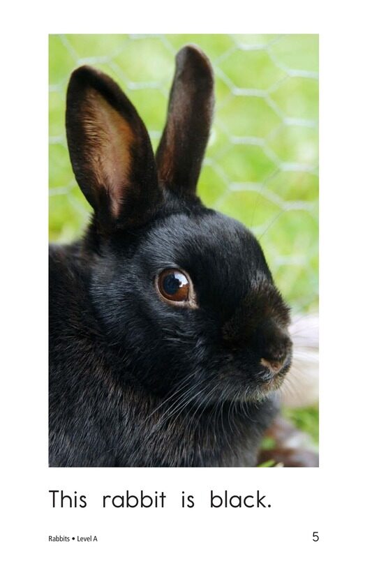 Rabbits绘本故事第5页