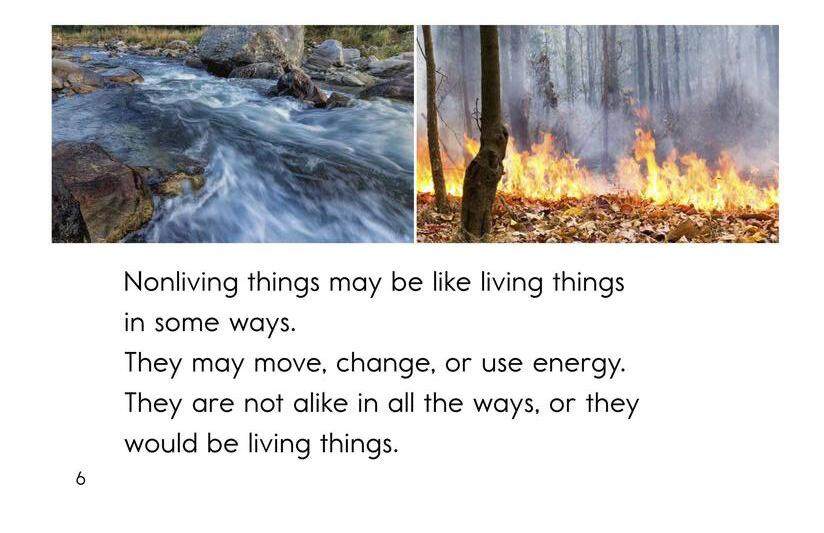 Living Or Nonliving绘本故事第5页