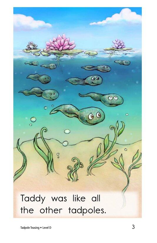 Tadpole Teasing绘本故事第3页