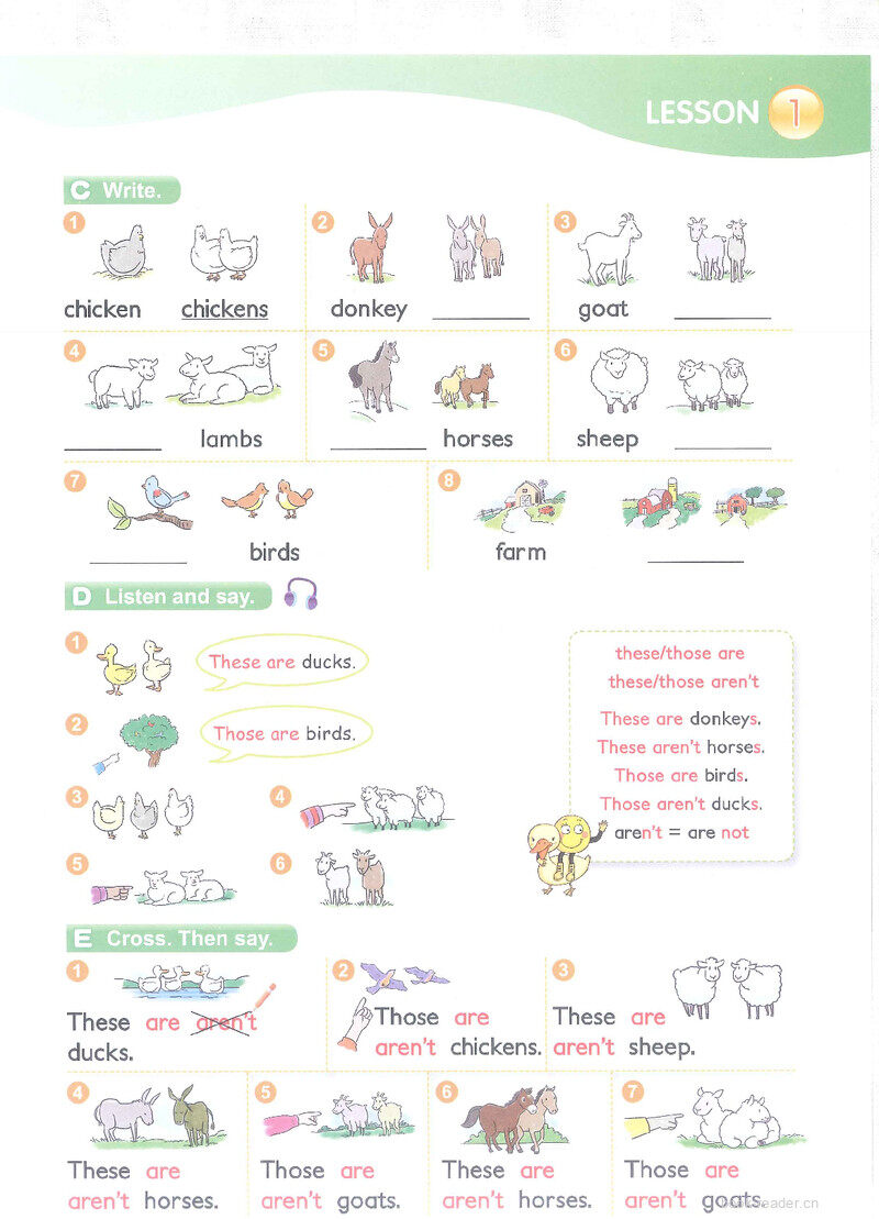 6 This is my uncle's farm绘本故事第3页