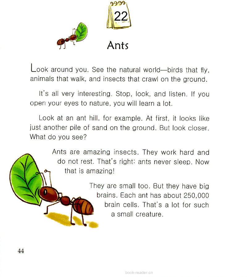 Ants绘本故事第2页