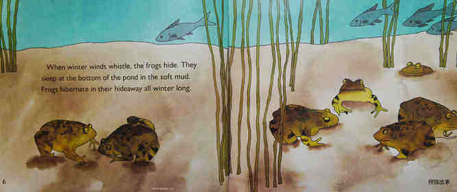 From Tadpole to FROG绘本故事第4页