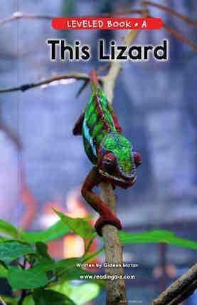 This Lizard