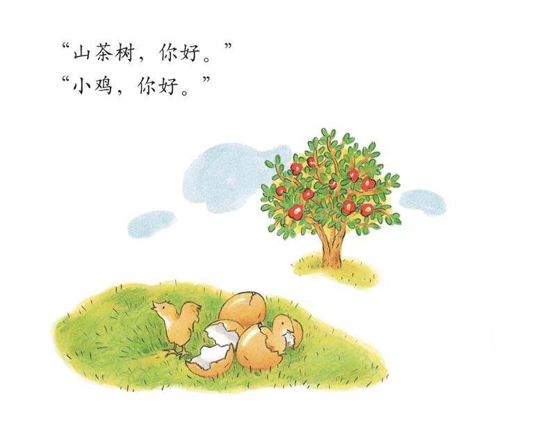 小鸡小鸡长大了绘本故事第2页