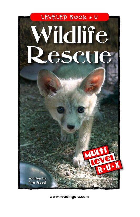 Wildlife Rescue绘本故事第2页