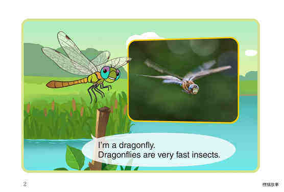 Dragonfly绘本故事第3页