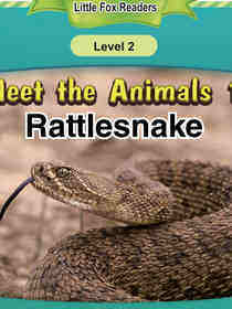 Rattlesnake
